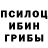 Псилоцибиновые грибы мицелий Sumpfgumpf