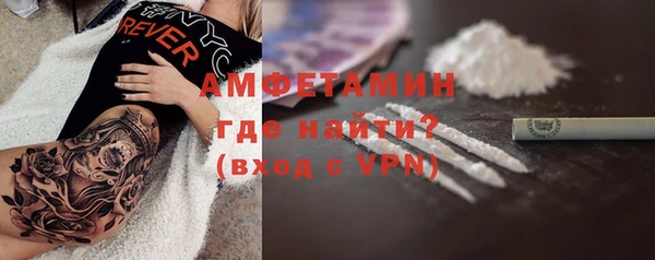 индика Дмитров