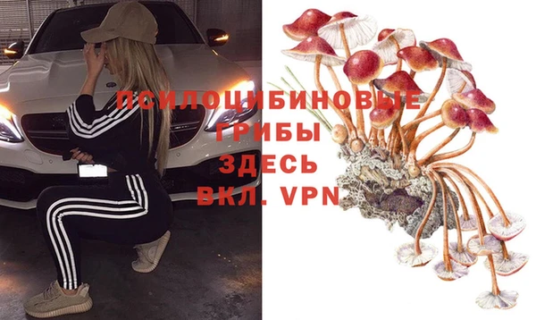 a pvp Алзамай