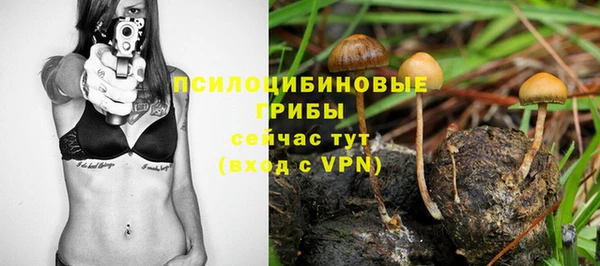 a pvp Алзамай